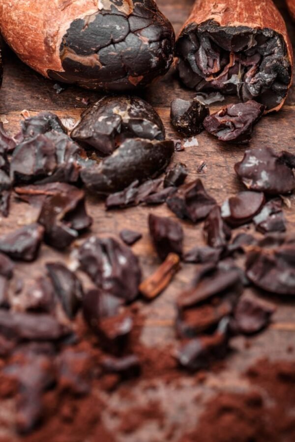 COCOA SHELL