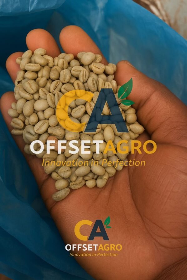 ARABICA COFFEE - Image 3
