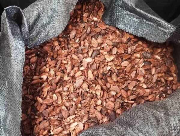 COCOA SHELL - Image 4