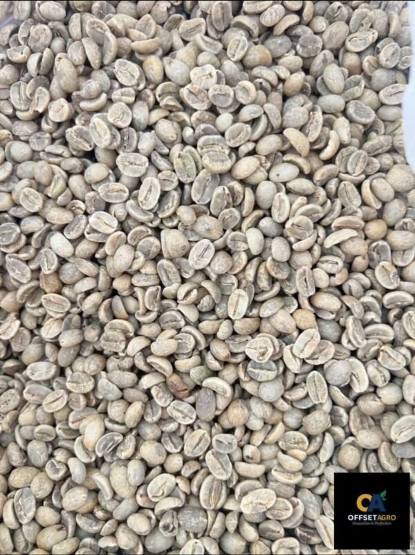 ARABICA COFFEE - Image 4