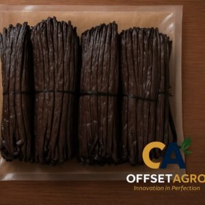 VANILLA BEANS