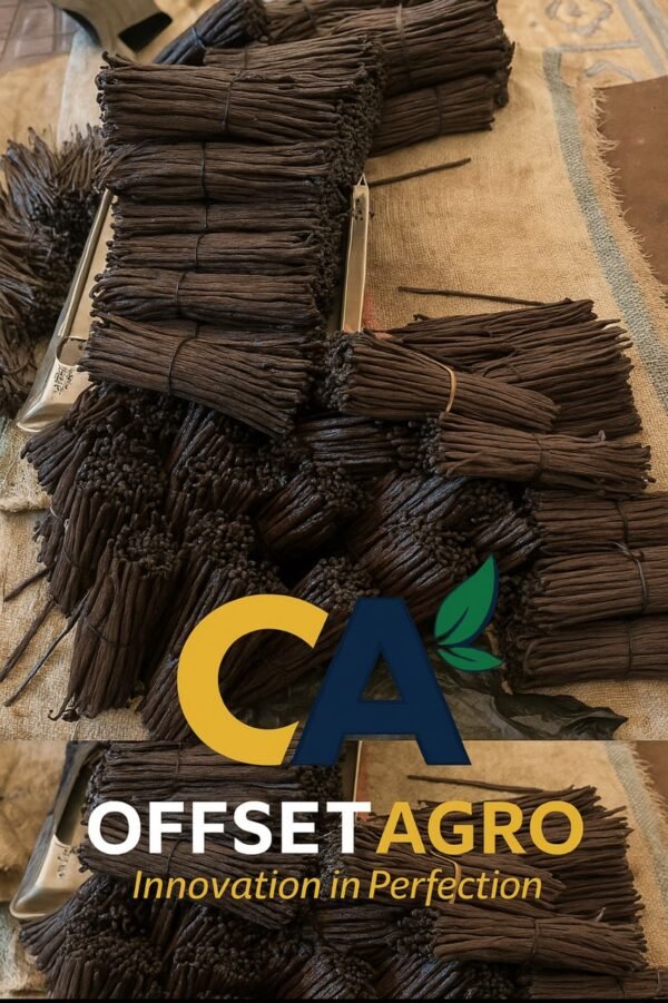vanilla beans - Image 2