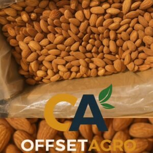 ALMOND NUTS