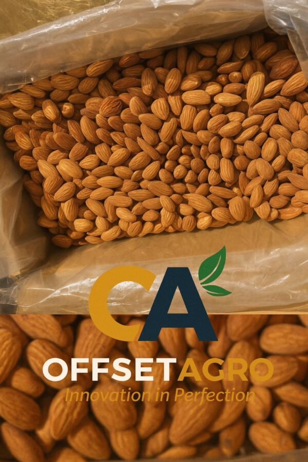ALMOND NUTS