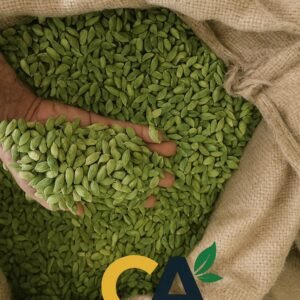Green cardamom