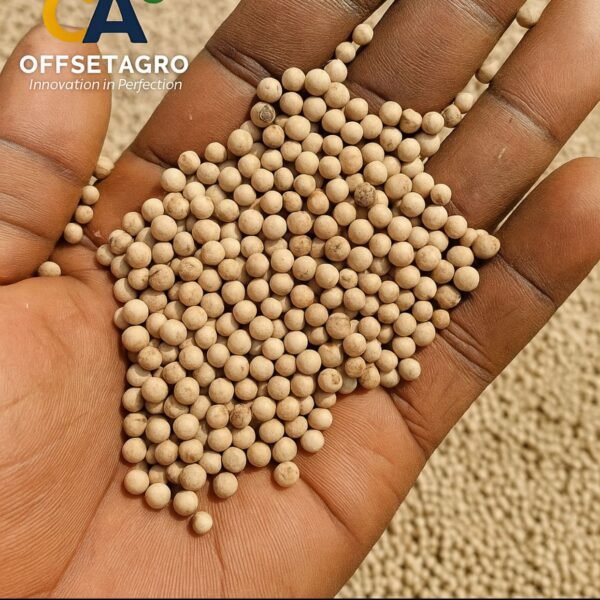 WHITE PEPPER - Image 3