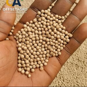 WHITE PEPPER