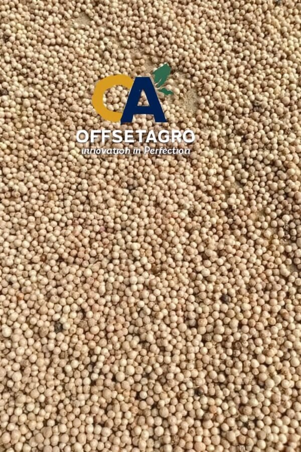 WHITE PEPPER - Image 2