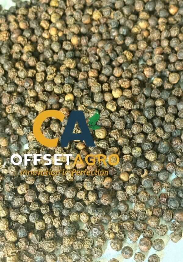 BLACK PEPPER - Image 2