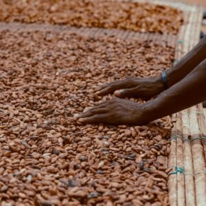 COCOA