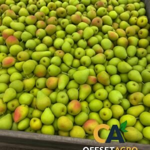 PEAR