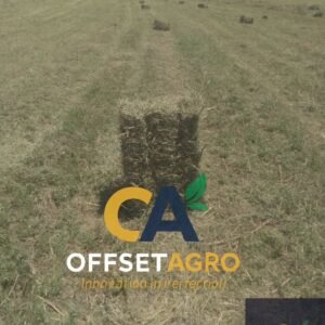 HAY